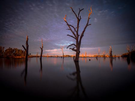 Dawn of Yarrawonga