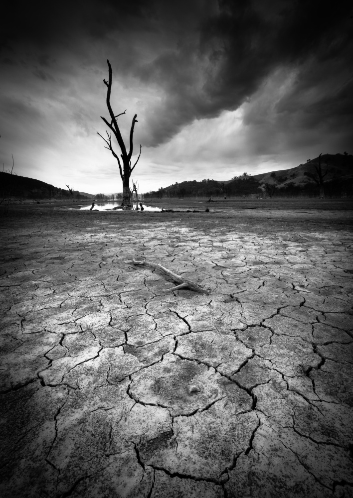 Dry River von Allan Li wp