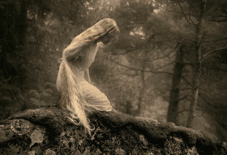 On a stone in the forest. von Allan Wallberg