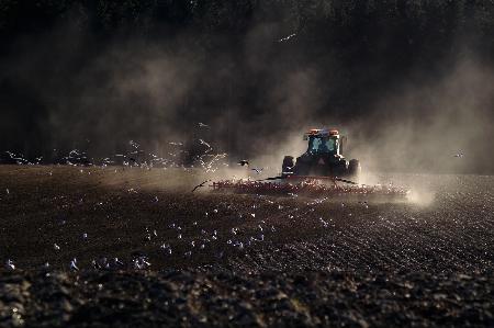 Farmer on the field