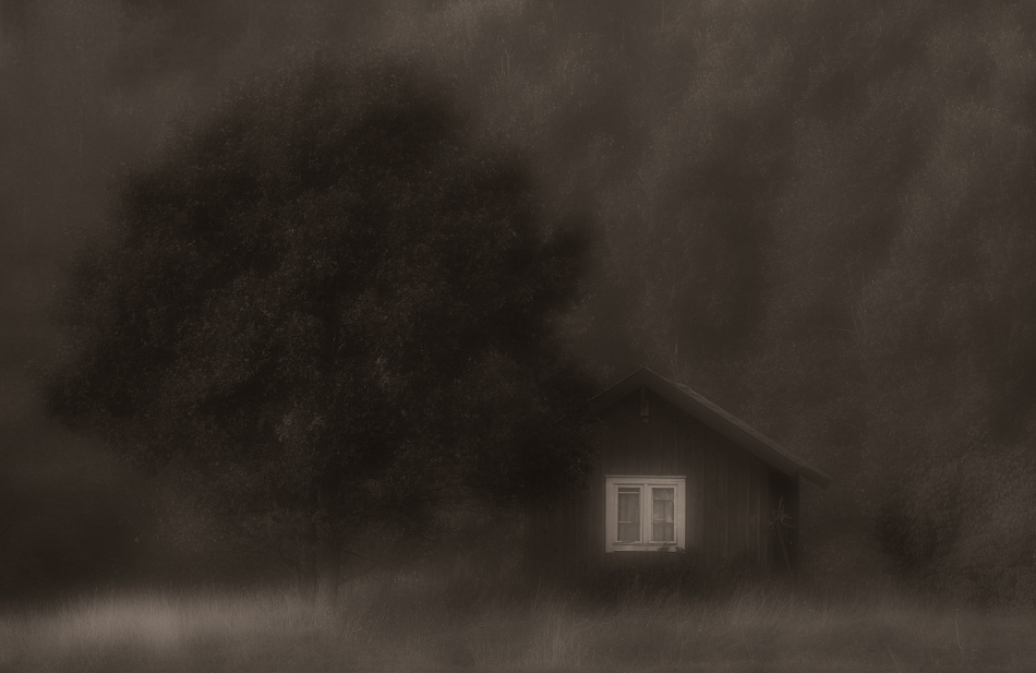 The little cottage in the woods von Allan Wallberg