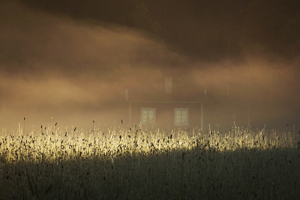 A small red cottage von Allan Wallberg