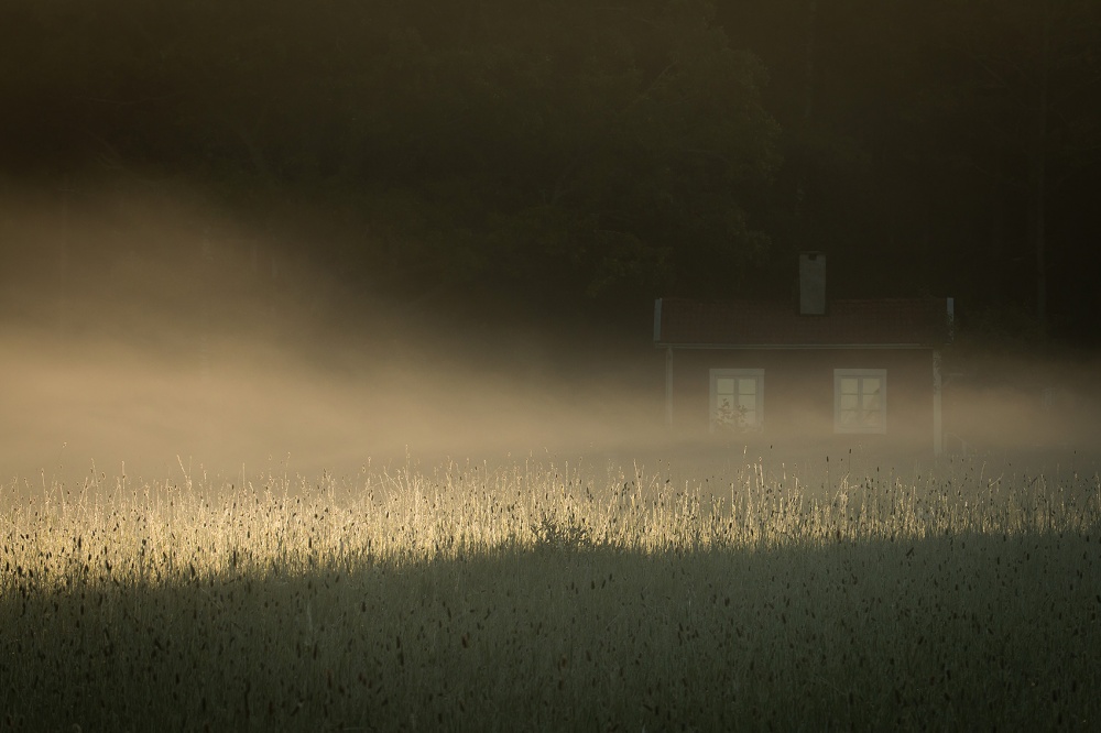 Cottage in the fog von Allan Wallberg