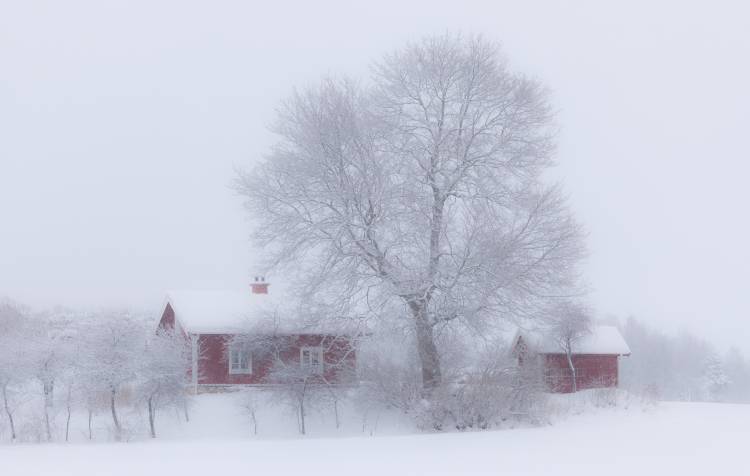 Winter idyll von Allan Wallberg