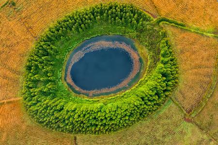 Azores Eye