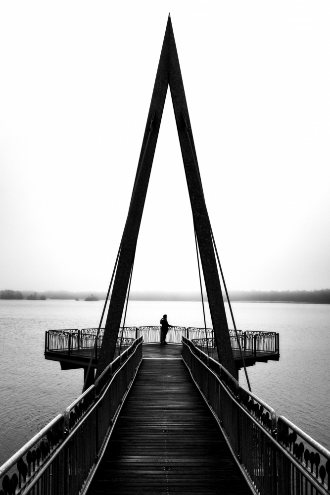 Alone at the lake von Alwin Koops