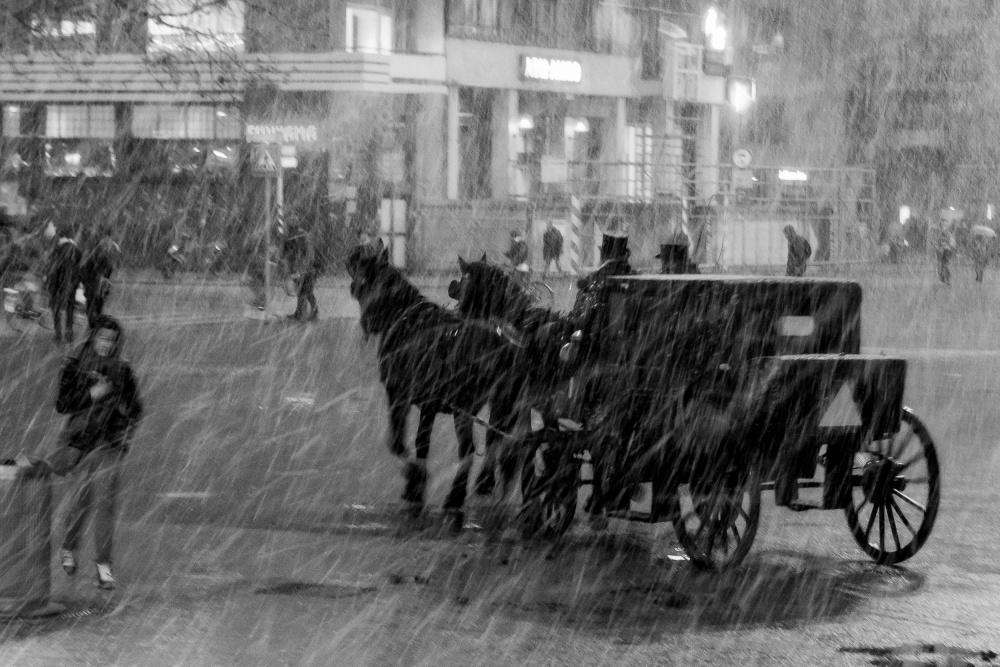 Carriage in winter storm von Alwin Koops