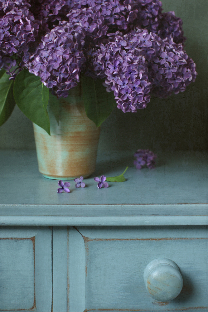 Purple Lilac Still Life von Alyson Fennell