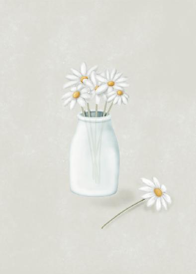 Daisy Flowers