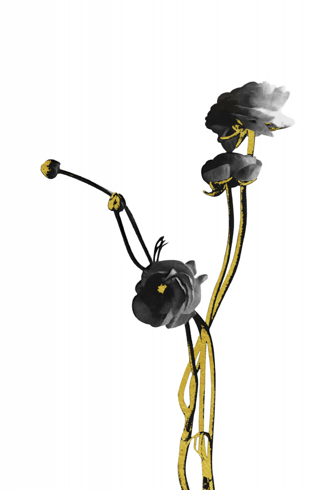 Flower Minimal Black and Gold 04 von amini54