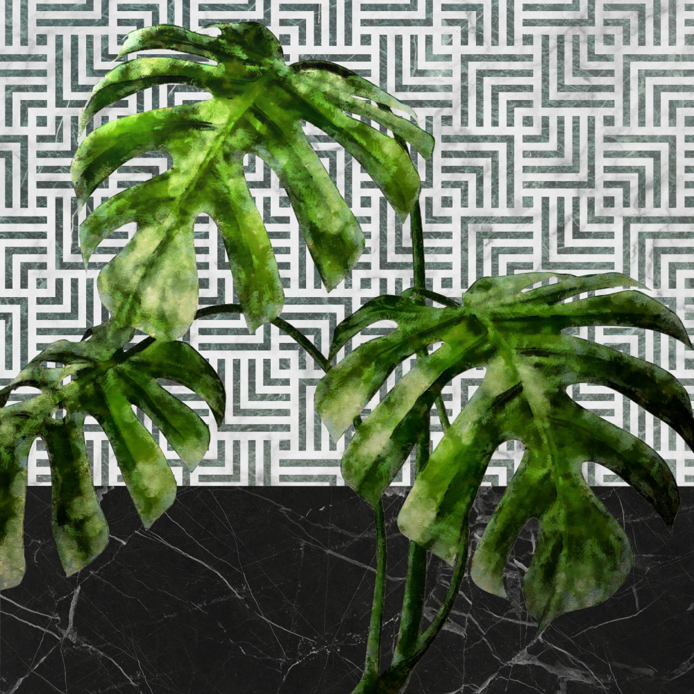 Monstera Leaves on Tiled Wall von amini54