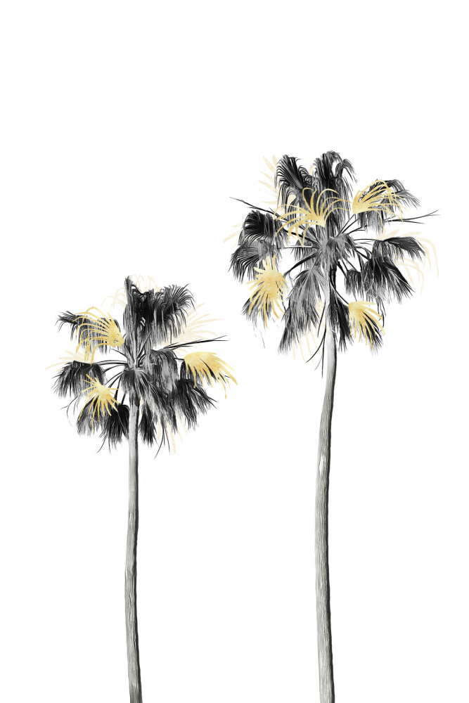 Palm Tree Black, White and Gold 01 von amini54