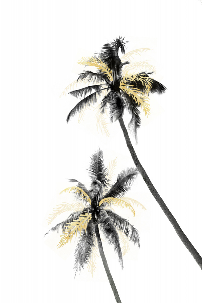 Palm Tree Black, White and Gold 02 von amini54