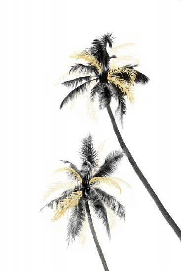 Palm Tree Black, White and Gold 02