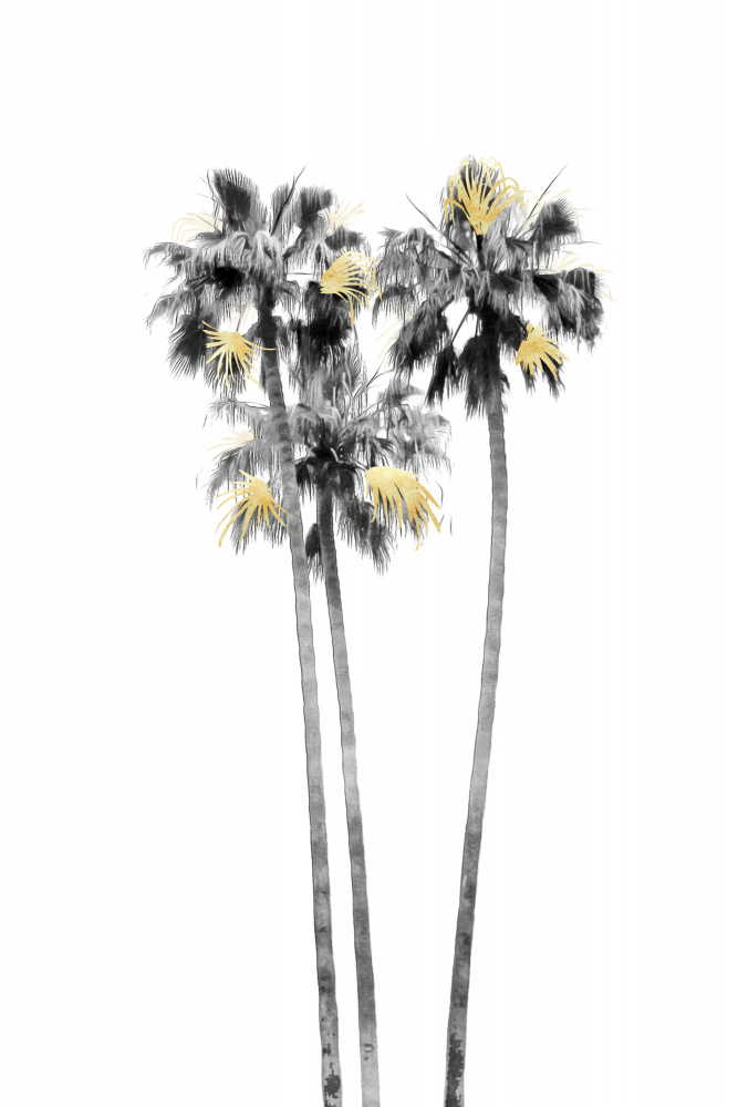 Palm Tree Black, White and Gold 03 von amini54