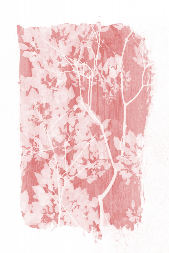 Pink Tree Foliage Silhouette von amini54