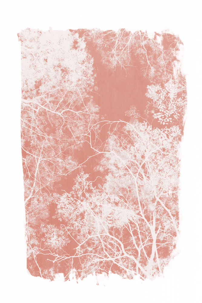 Pink Tree Foliage Silhouette von amini54