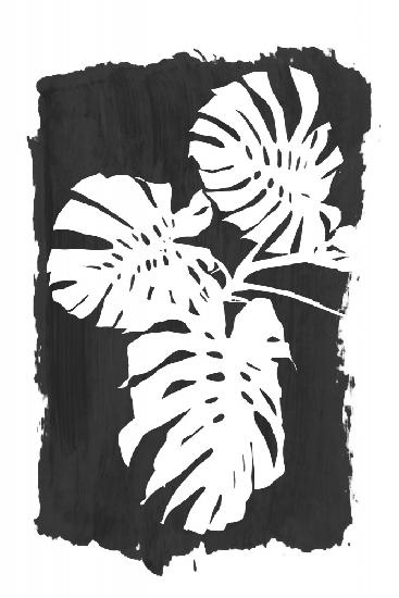 Black Monstera Leaves Silhouette