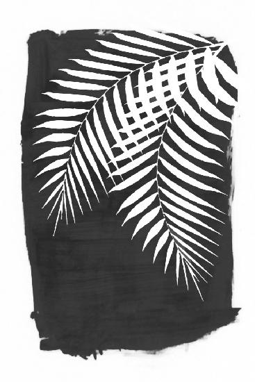 Black Palm Leaves Foliage Silhouette