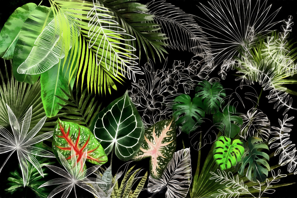 Tropical Foliage 04 von amini54