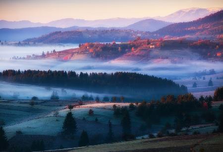 magical trails of mist