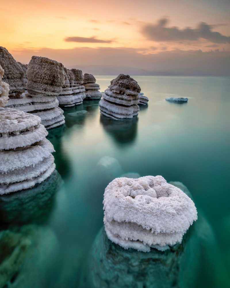 Layers cakes von Amir Ehrlich