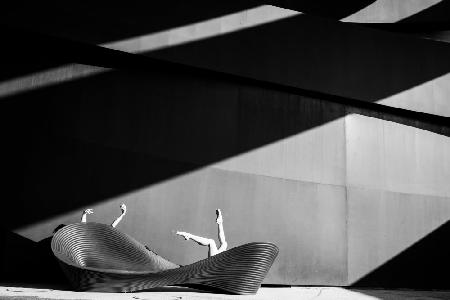 Hands and legs, shadow and light in black and white