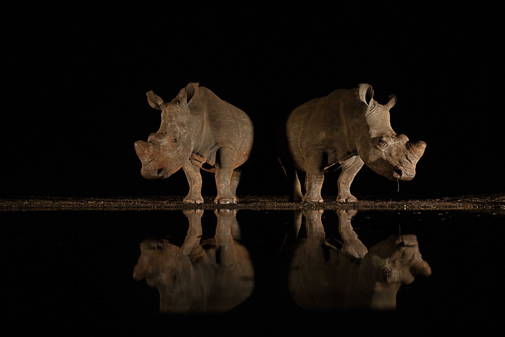 reflection von Amnon Eichelberg