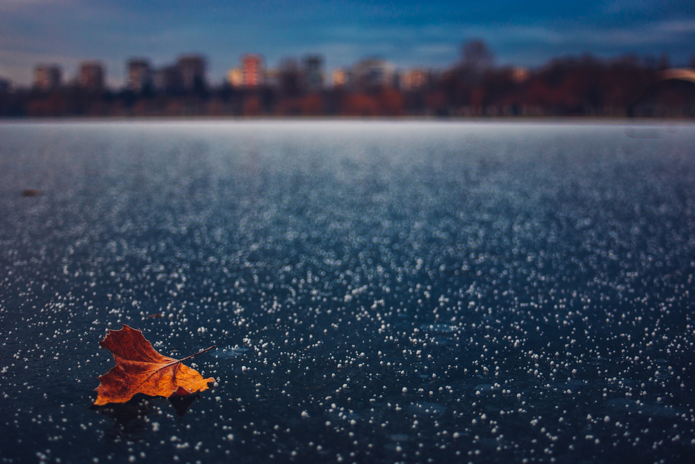 Winter stories von AnaDumitru