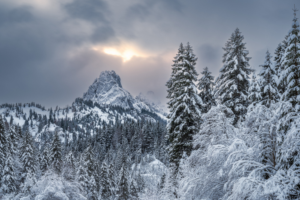 The alpine freshness von Anastasios Gialopoulos