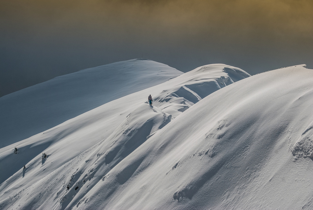 Alone in winter von Anca Rosu