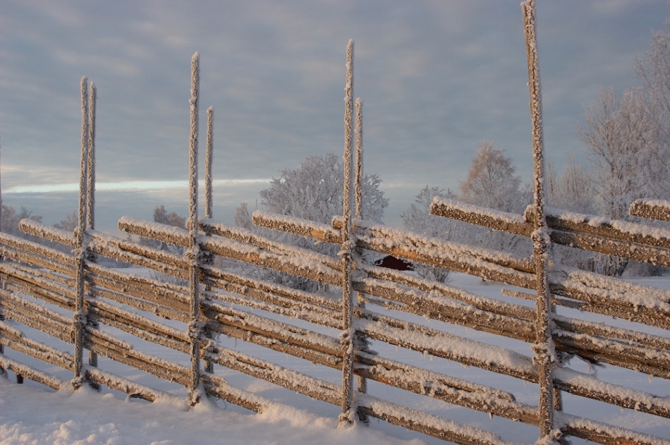 Cold winter morning von Anders Ludvigson