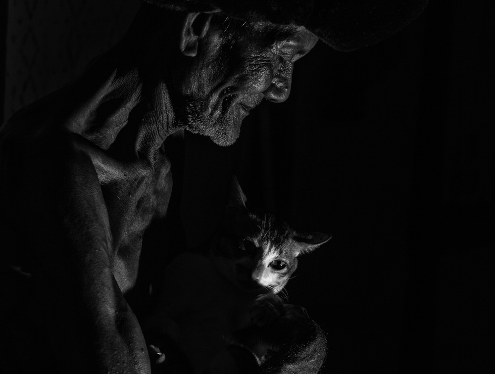 The Old Man and His Cat von Andi Halil