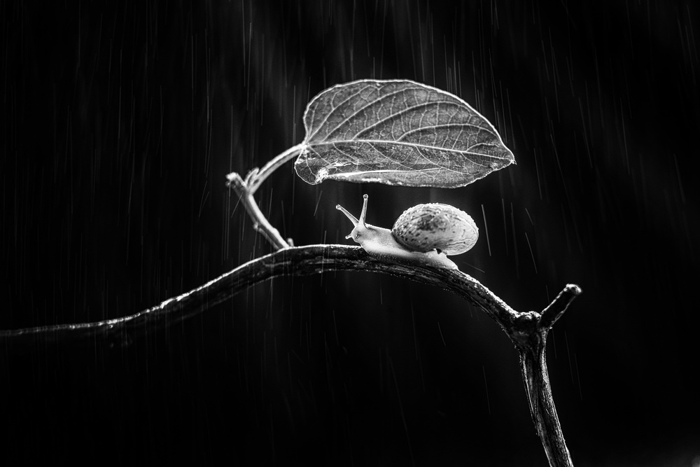 Under the Rain von Andi Halil