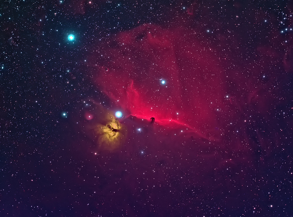 Horse head the dark Nebula von Andrea Auf dem Brinke