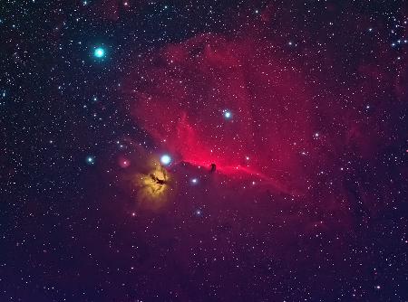 Horse head the dark Nebula