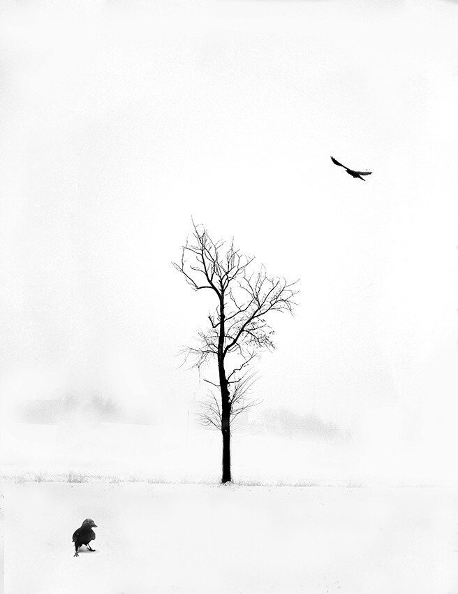 White solitude von Andrea Auf dem Brinke