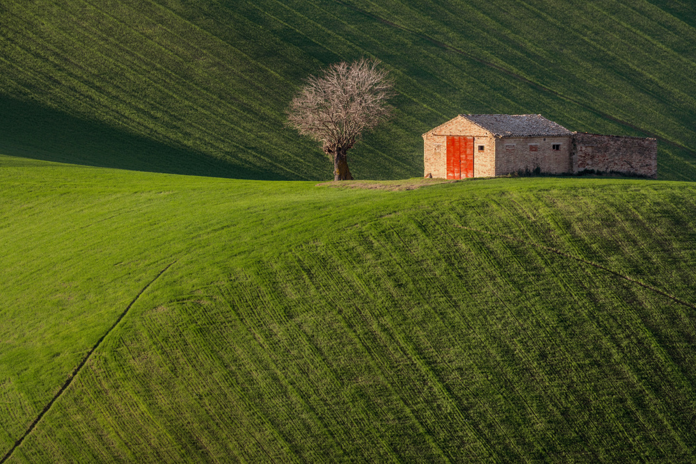 Natural Life von Andrea Comari