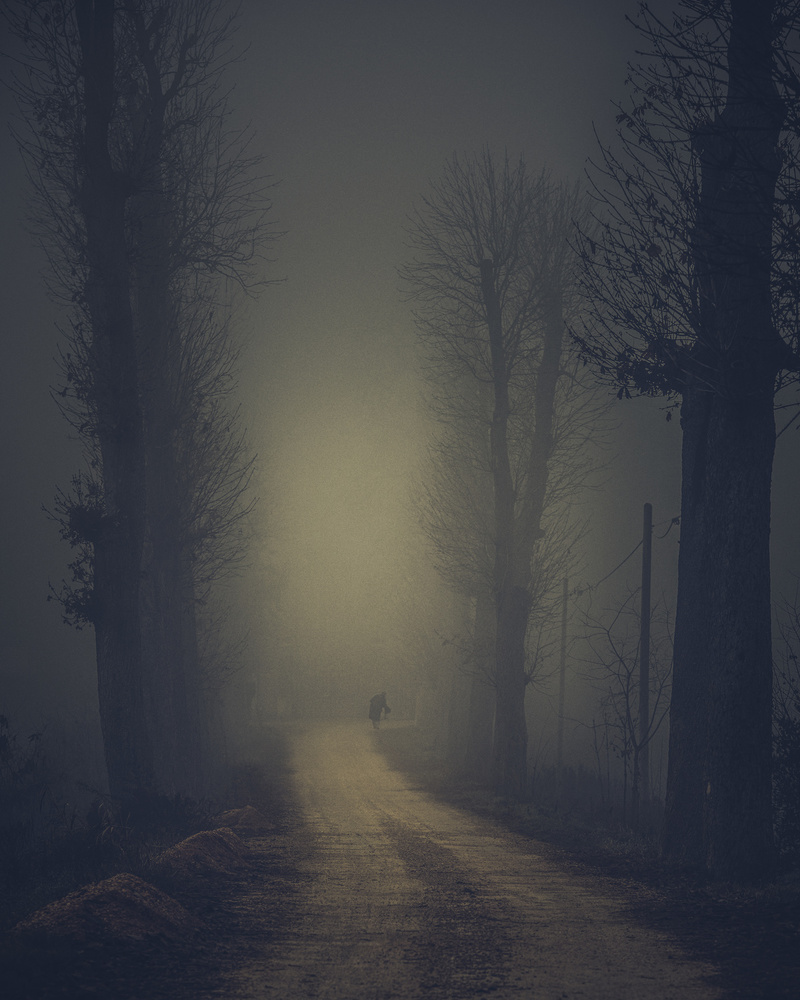 Man in the fog von Andrea Fraccaroli