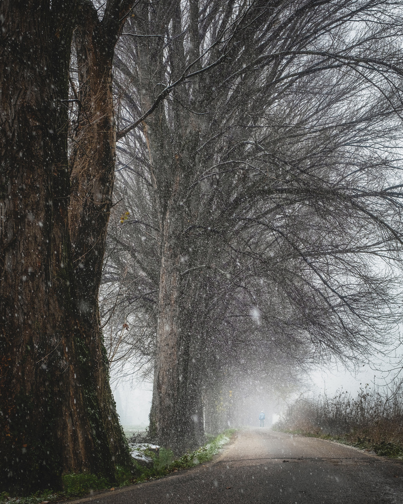 Prima neve von Andrea Fraccaroli