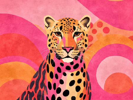 Fancy Cheetah 001