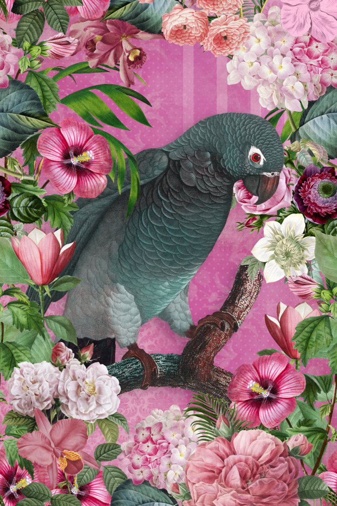 The Parrots Paradise Garden 3 von Andrea Haase