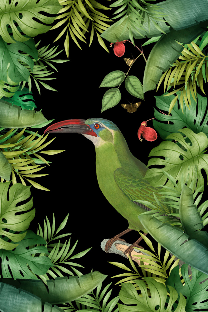 Jungle With Green Toucan von Andrea Haase