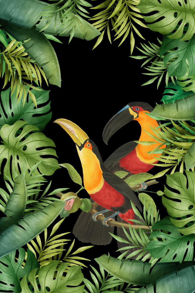 Jungle With Toucans von Andrea Haase