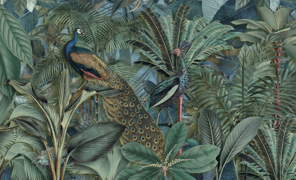 Jungle Birds Garden No2 von Andrea Haase