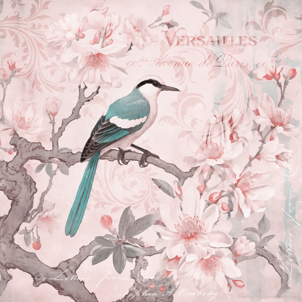 Pastel Pink Springbird von Andrea Haase