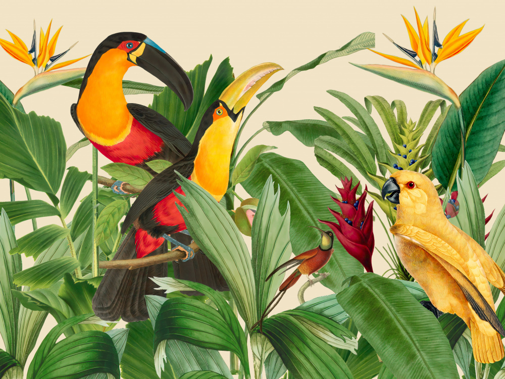 Rain Forest Bird Garden von Andrea Haase