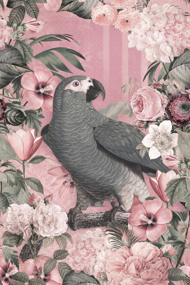 The Parrots Paradise Garden 2 Pastel Pink von Andrea Haase