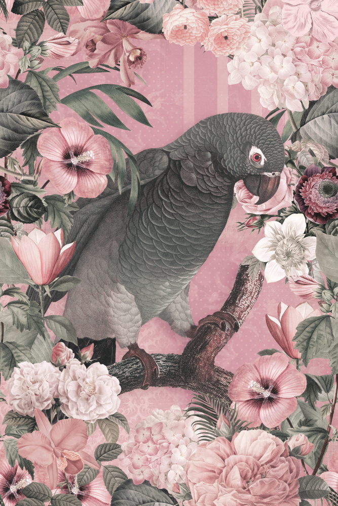 The Parrots Paradise Garden 3 Pastel Pink von Andrea Haase