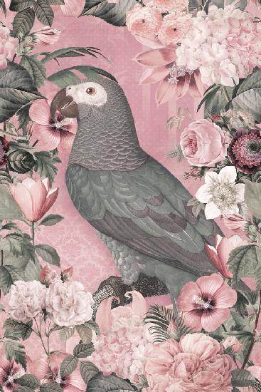 The Parrots Paradise Garden Pastel Pink